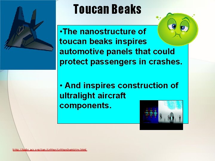 Toucan Beaks • The nanostructure of toucan beaks inspires automotive panels that could protect