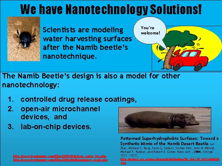 We have Nanotechnology Solutions! Scientists are modeling water harvesting surfaces after the Namib beetle’s