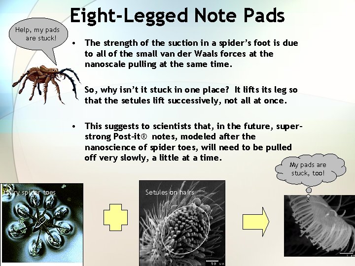 Help, my pads are stuck! Eight-Legged Note Pads • The strength of the suction