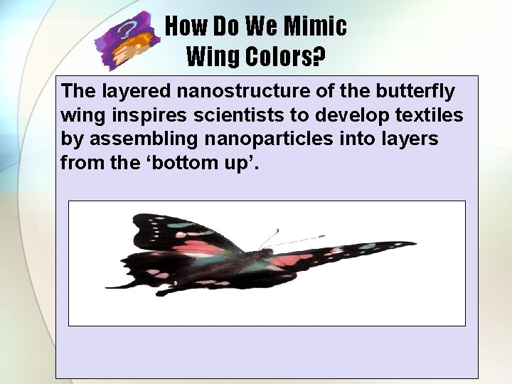 How Do We Mimic Wing Colors? The layered nanostructure of the butterfly wing inspires