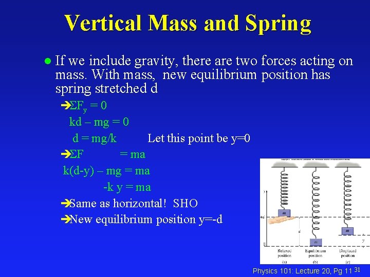 Vertical Mass and Spring l If we include gravity, there are two forces acting