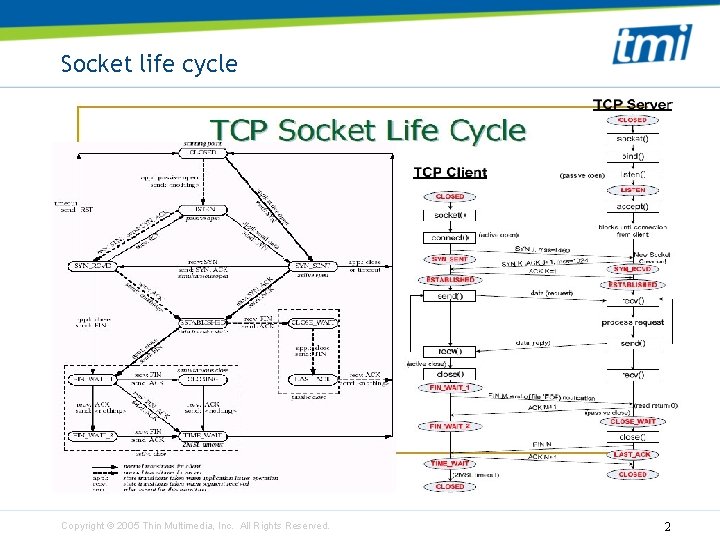 Socket life cycle Copyright © 2005 Thin Multimedia, Inc. All Rights Reserved. 2 