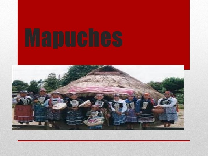 Mapuches 