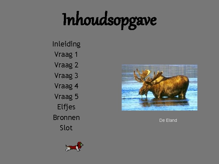 Inhoudsopgave Inleiding Vraag 1 Vraag 2 Vraag 3 Vraag 4 Vraag 5 Elfjes Bronnen