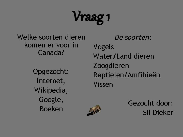 Vraag 1 Welke soorten dieren komen er voor in Canada? Opgezocht: Internet, Wikipedia, Google,