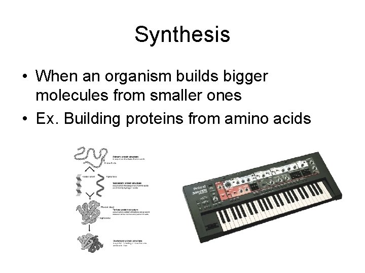 Synthesis • When an organism builds bigger molecules from smaller ones • Ex. Building