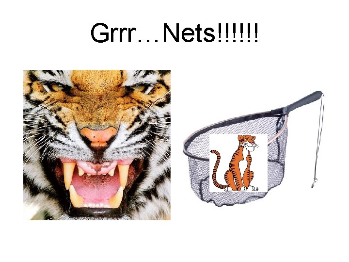 Grrr…Nets!!!!!! 