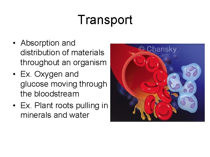 Transport • Absorption and distribution of materials throughout an organism • Ex. Oxygen and
