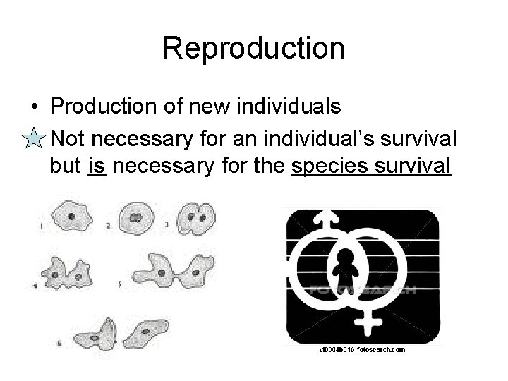 Reproduction • Production of new individuals • Not necessary for an individual’s survival but