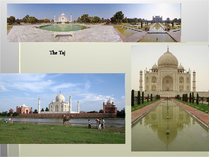 The Taj 