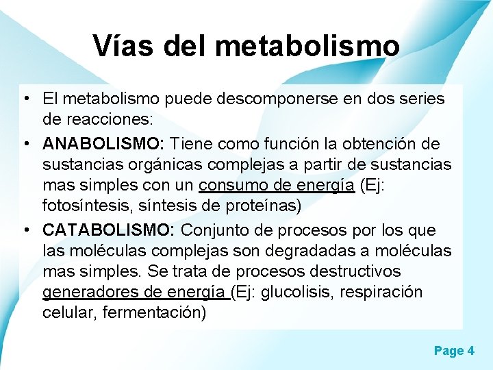 Vías del metabolismo • El metabolismo puede descomponerse en dos series de reacciones: •