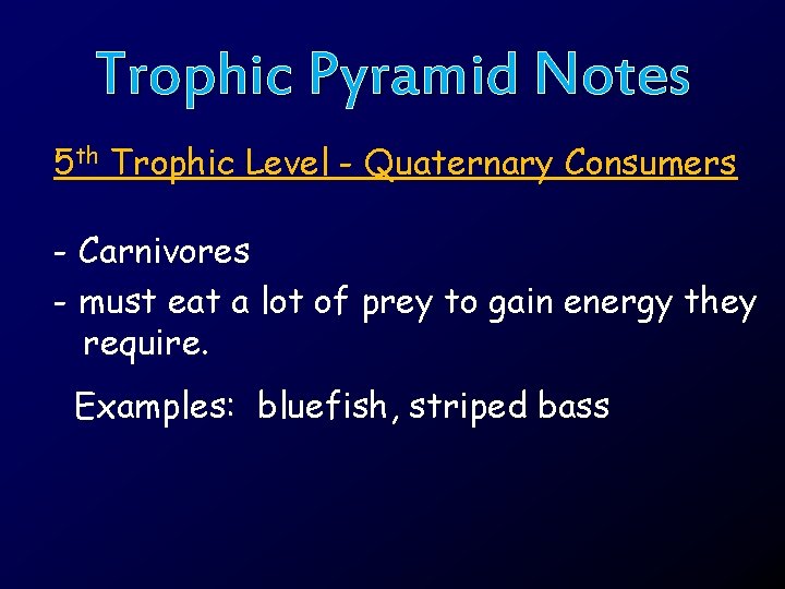 Trophic Pyramid Notes 5 th Trophic Level - Quaternary Consumers - Carnivores - must