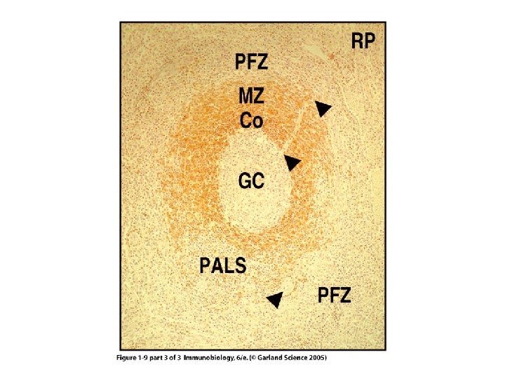 Figure 1 -9 part 3 of 3 