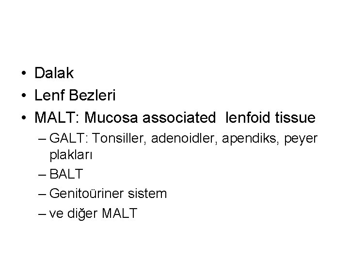  • Dalak • Lenf Bezleri • MALT: Mucosa associated lenfoid tissue – GALT: