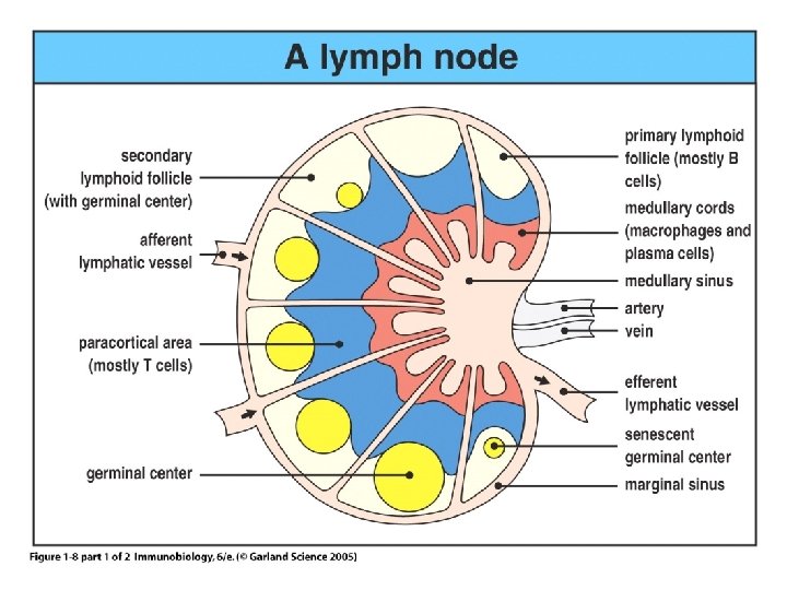 Figure 1 -8 part 1 of 2 