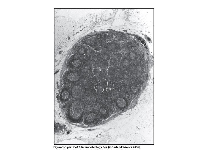 Figure 1 -8 part 2 of 2 