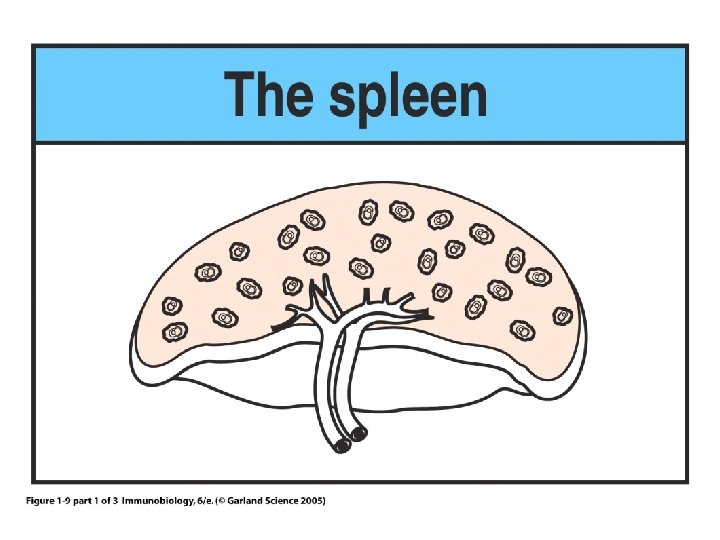 Figure 1 -9 part 1 of 3 