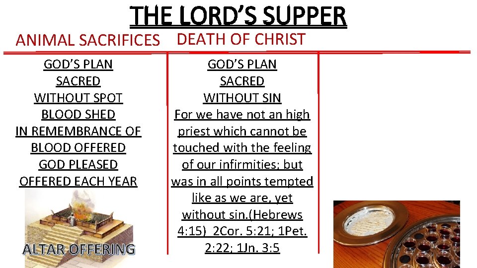 THE LORD’S SUPPER ANIMAL SACRIFICES DEATH OF CHRIST GOD’S PLAN SACRED WITHOUT SPOT BLOOD