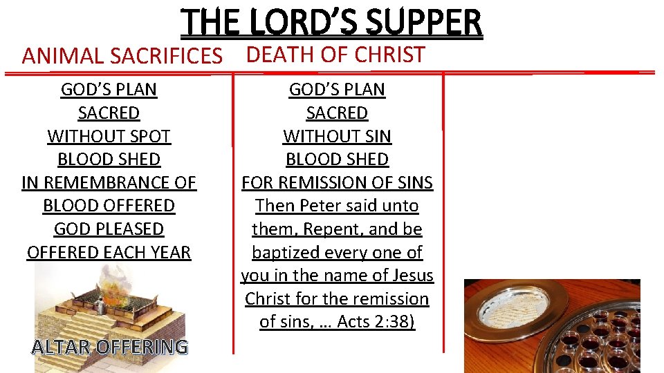 THE LORD’S SUPPER ANIMAL SACRIFICES DEATH OF CHRIST GOD’S PLAN SACRED WITHOUT SPOT BLOOD