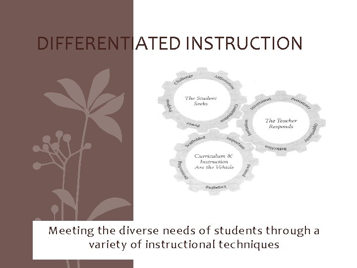 DIFFERENTIATED INSTRUCTION Meeting the diverse needs of students through a variety of instructional techniques