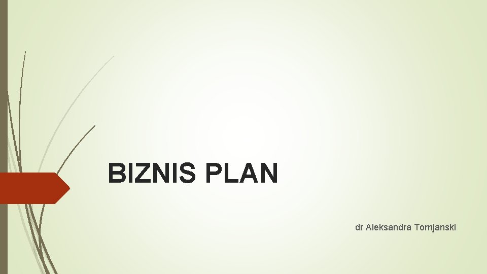 BIZNIS PLAN dr Aleksandra Tornjanski 