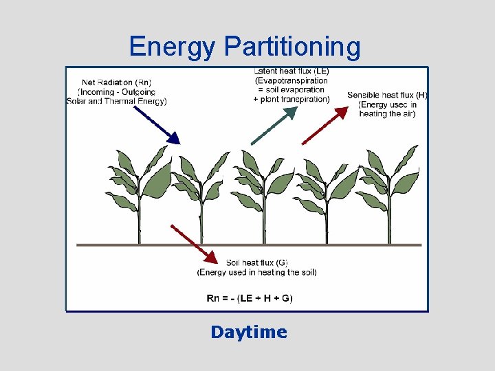 Energy Partitioning Daytime 