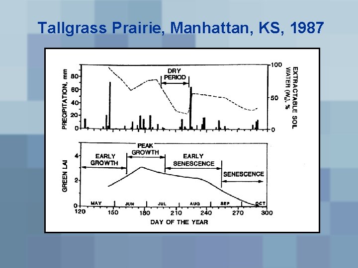 Tallgrass Prairie, Manhattan, KS, 1987 