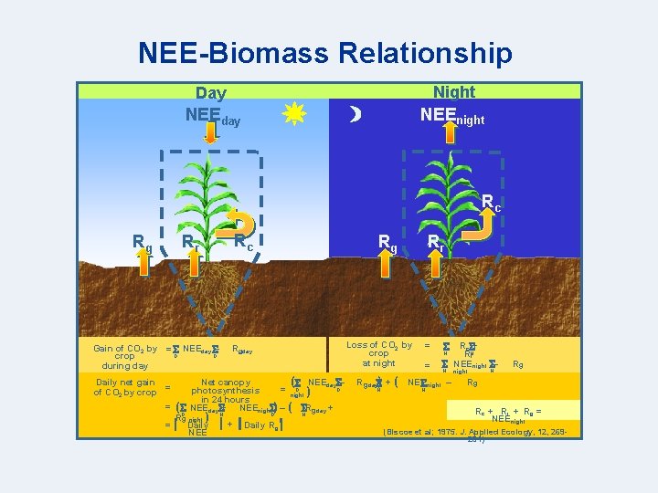 NEE-Biomass Relationship Day Night NEEday NEEnight Rc Rg Rc Rr Gain of CO 2