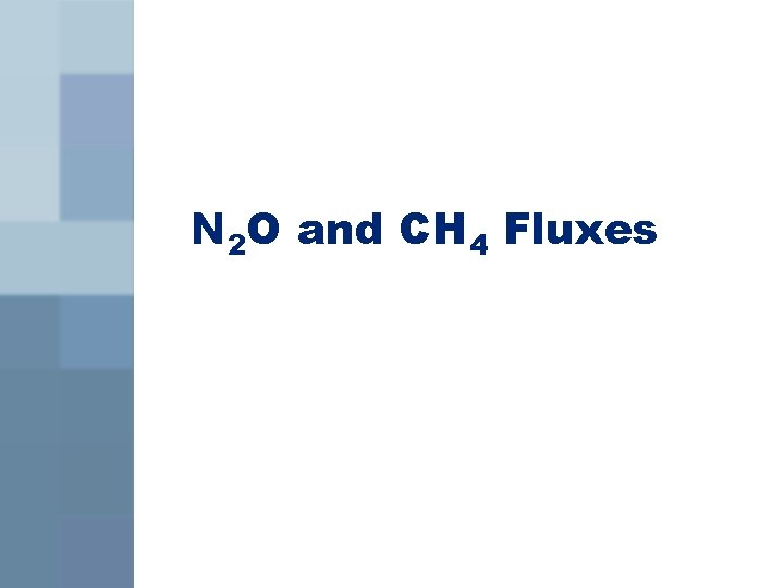 N 2 O and CH 4 Fluxes 