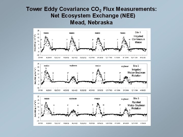 Tower Eddy Covariance CO 2 Flux Measurements: Net Ecosystem Exchange (NEE) Mead, Nebraska 
