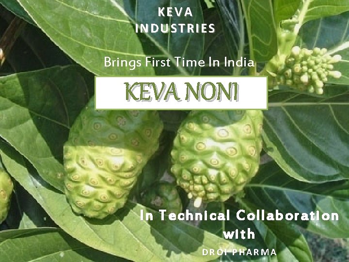 KEVA INDUSTRIES Brings First Time In India KEVA NONI In Technical Collaboration with DROI