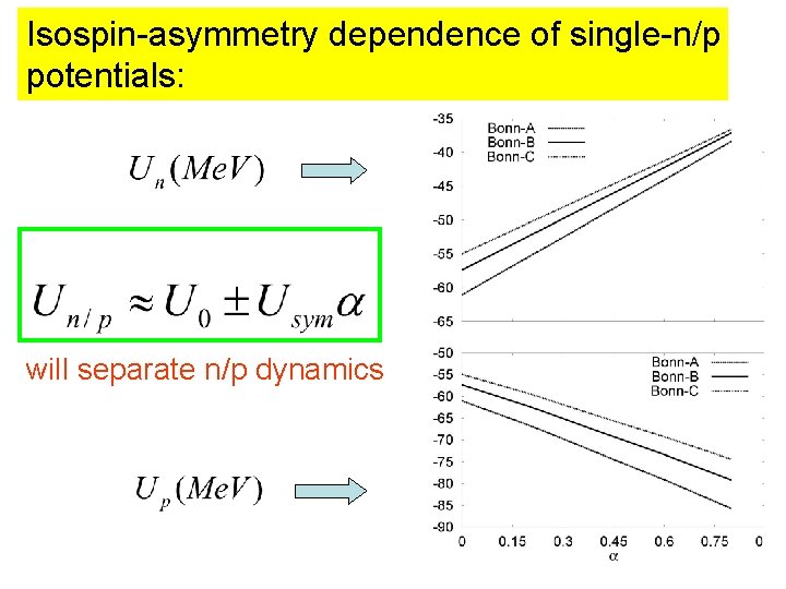 Isospin-asymmetry dependence of single-n/p potentials: will separate n/p dynamics Isospin-asymmetry dependence of single-n/p potentials: will separate n/p dynamics