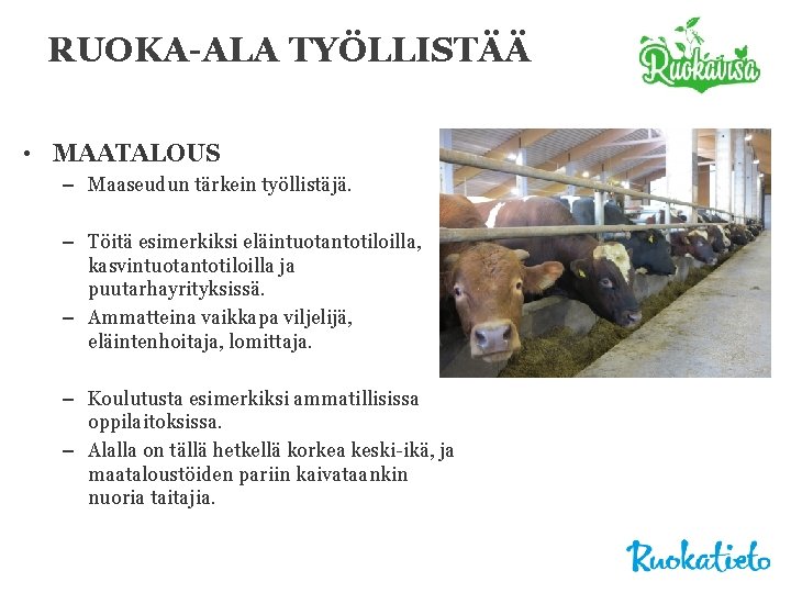 RUOKA-ALA TYÖLLISTÄÄ • MAATALOUS – Maaseudun tärkein työllistäjä. – Töitä esimerkiksi eläintuotantotiloilla, kasvintuotantotiloilla ja