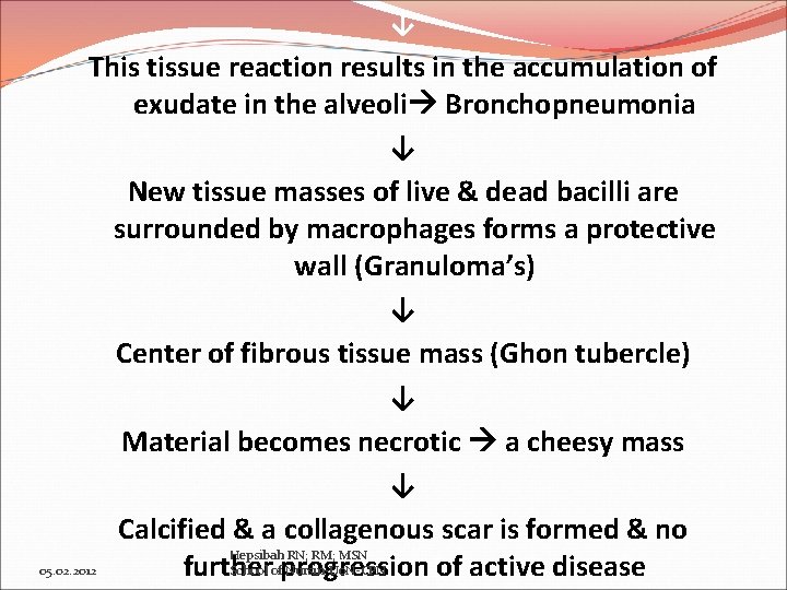 ↓ This tissue reaction results in the accumulation of exudate in the alveoli Bronchopneumonia