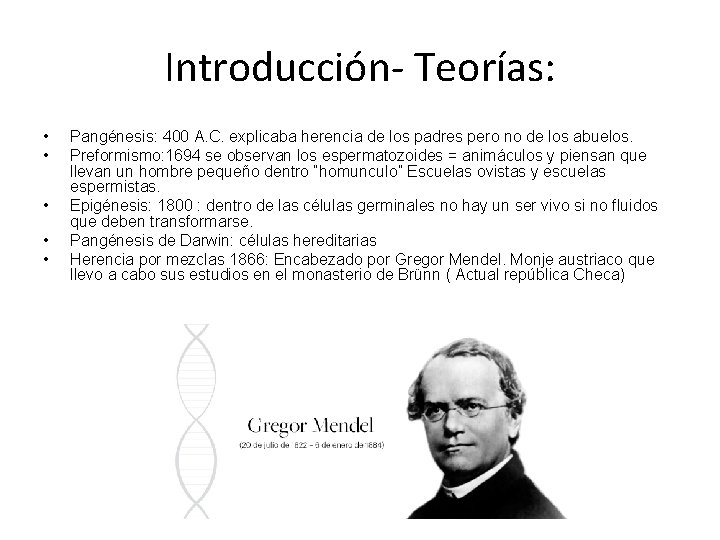Introducción- Teorías: • • • Pangénesis: 400 A. C. explicaba herencia de los padres