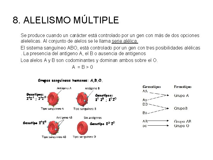 8. ALELISMO MÚLTIPLE Se produce cuando un carácter está controlado por un gen con