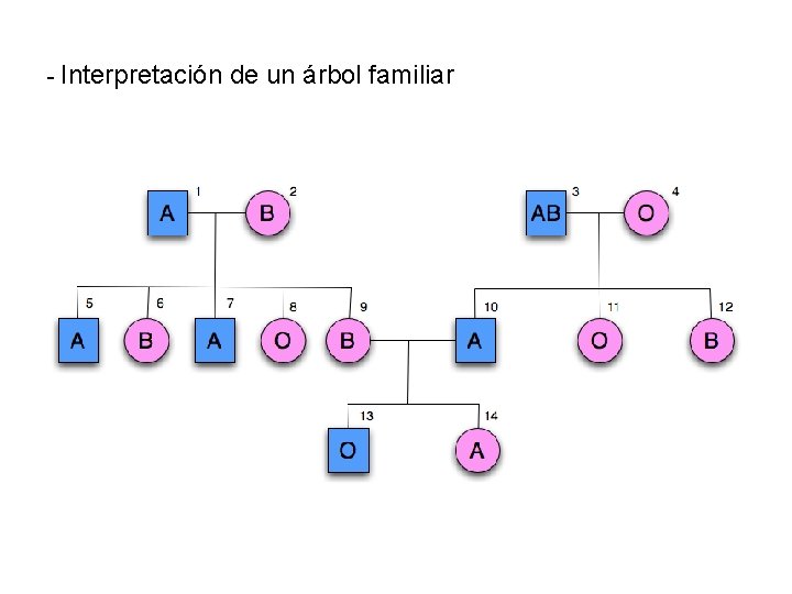 - Interpretación de un árbol familiar 