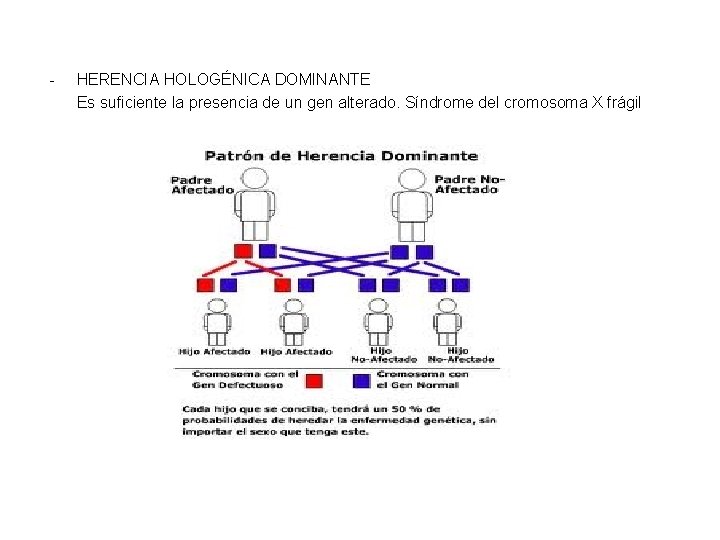 - HERENCIA HOLOGÉNICA DOMINANTE Es suficiente la presencia de un gen alterado. Síndrome del