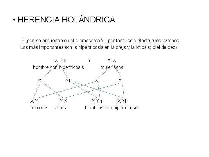  • HERENCIA HOLÁNDRICA El gen se encuentra en el cromosoma Y , por