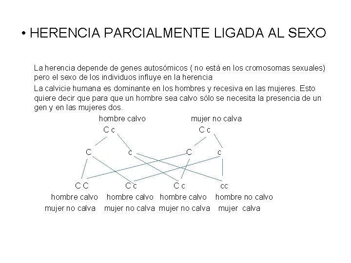  • HERENCIA PARCIALMENTE LIGADA AL SEXO La herencia depende de genes autosómicos (