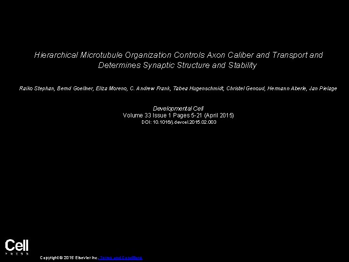 Hierarchical Microtubule Organization Controls Axon Caliber and Transport and Determines Synaptic Structure and Stability