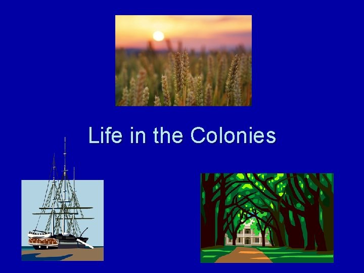 Life in the Colonies 