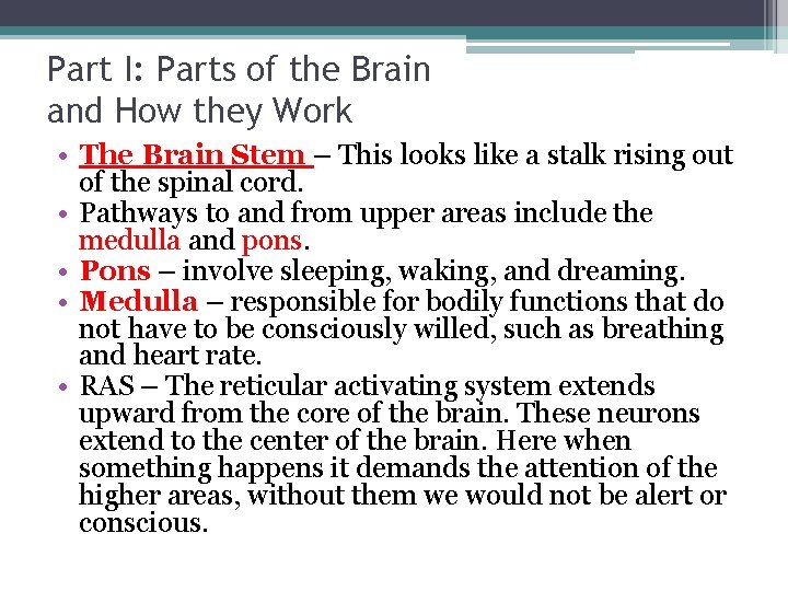 Part I: Parts of the Brain and How they Work • The Brain Stem