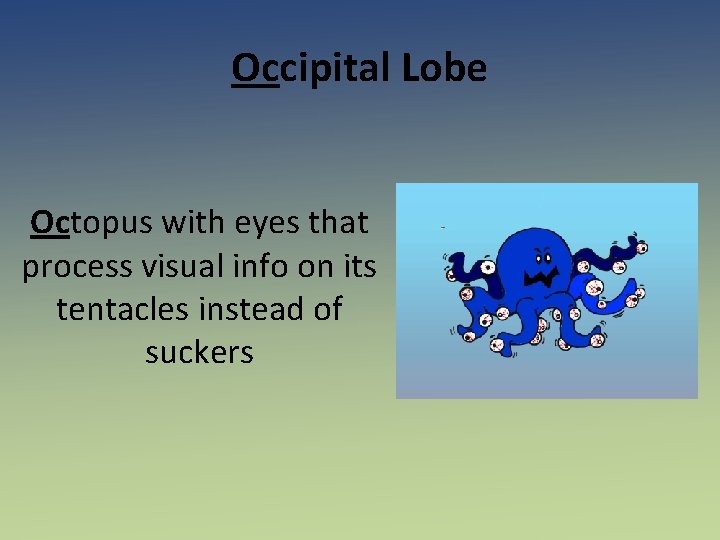 Occipital Lobe Octopus with eyes that process visual info on its tentacles instead of