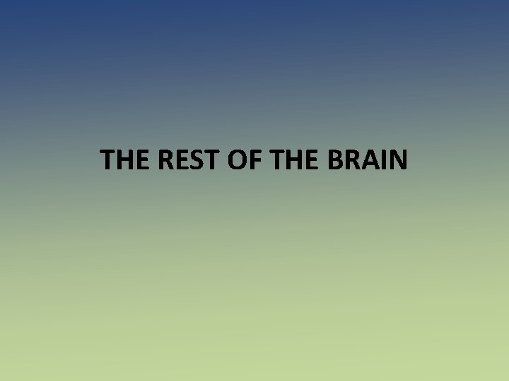 THE REST OF THE BRAIN 