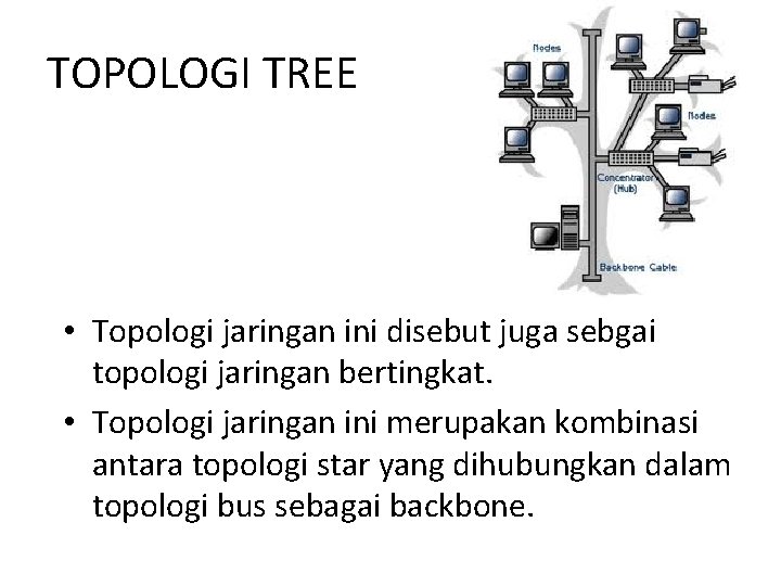 TOPOLOGI TREE • Topologi jaringan ini disebut juga sebgai topologi jaringan bertingkat. • Topologi