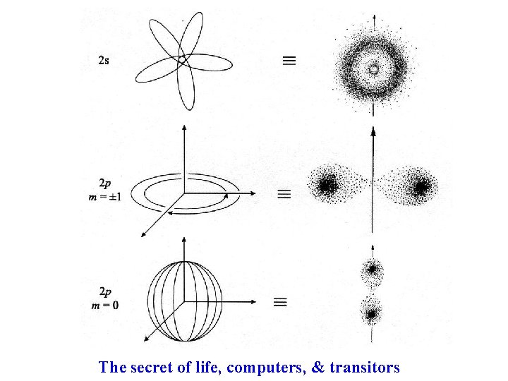 The secret of life, computers, & transitors 