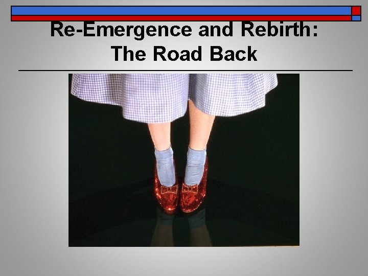 Re-Emergence and Rebirth: The Road Back 