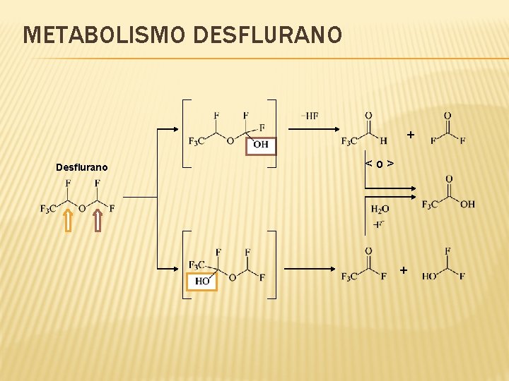 METABOLISMO DESFLURANO + Desflurano <o> + 