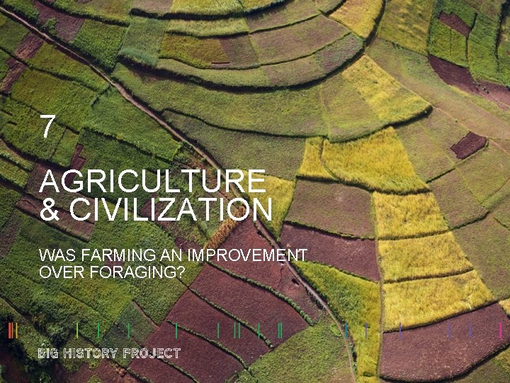 7 AGRICULTURE & CIVILIZATION WAS FARMING AN IMPROVEMENT OVER FORAGING? 7 AGRICULTURE & CIVILIZATION WAS FARMING AN IMPROVEMENT OVER FORAGING?